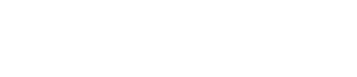 Troy Lee Designs