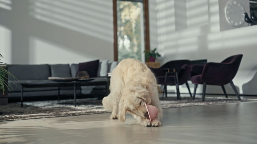 Still from Bowly